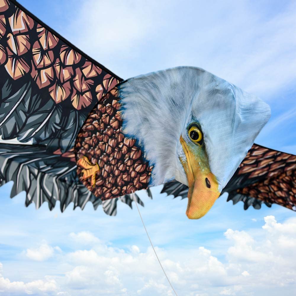 kite eagle bird 3d flying kites for children or adults