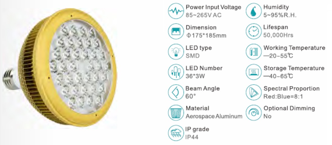 LED lamp plant