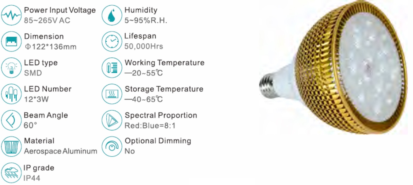 LED growing light