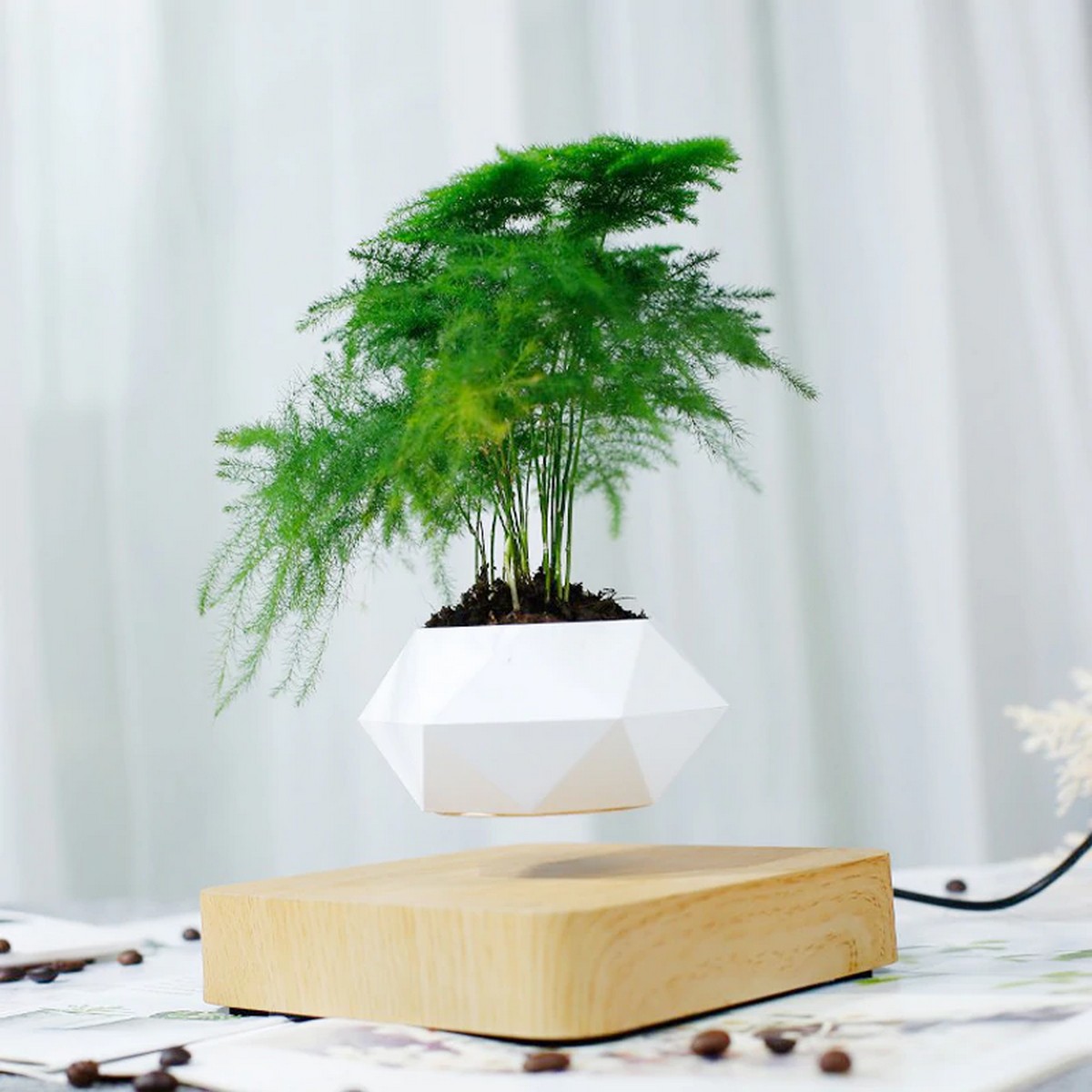 levitating plant pot